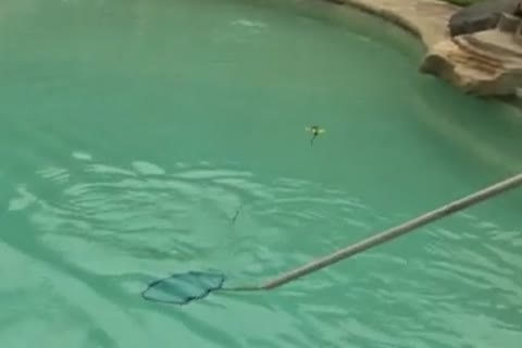 Shocking Monster ramrods - two - two