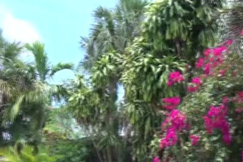 Slap your Sausage In My mouth - cum Pig dudes