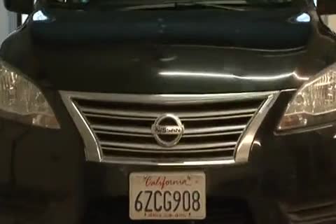 slutty cock And Fabio Stallone - Senak Away F