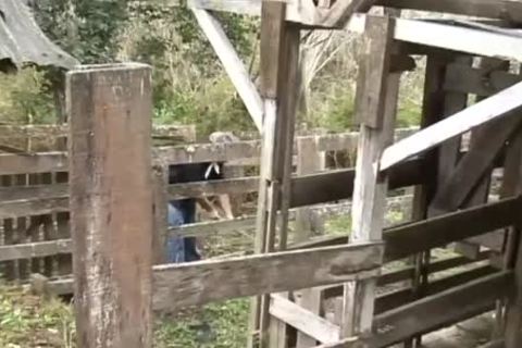 Anthony Mauricio - Scene 1 - Brasil