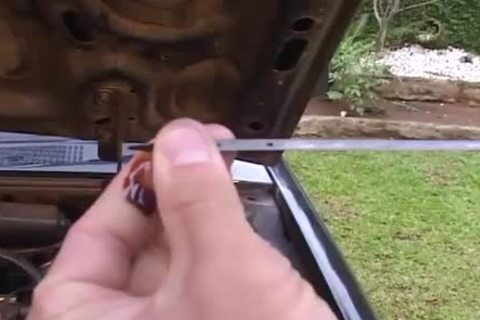 Alexbb Arnold - Scene 1 - Brasil