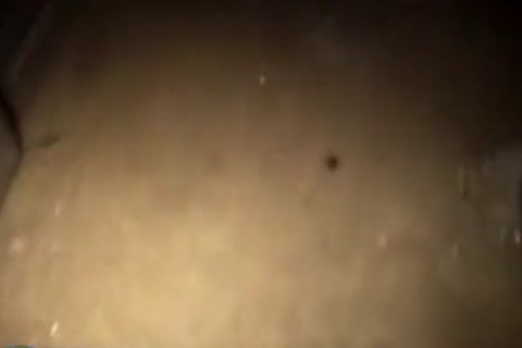 Pirocudo Comendo Gostoso