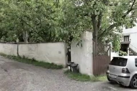 bawdy boys bare - Traiteen2.tumblr.com