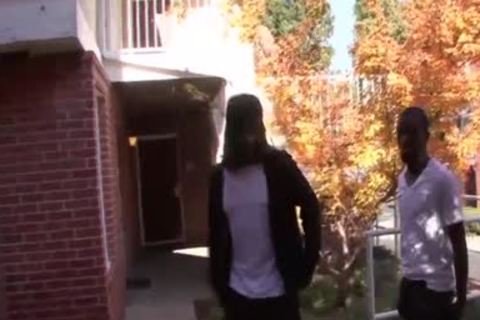 check out The Hottest homosexual unprotected orgies At BukkakeBoys.com! Loads Of rod engulfing, unprotected anal pounding And Of Course Non Stop sperm