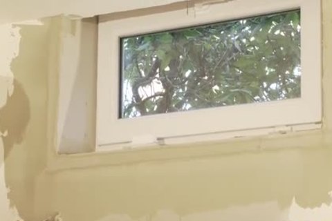 sweet homosexual Pickle Puffers enjoy Some wazoo joy