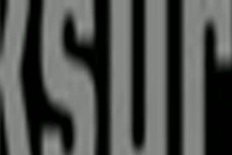 Steven Matt Www.blogmaxegatos.co