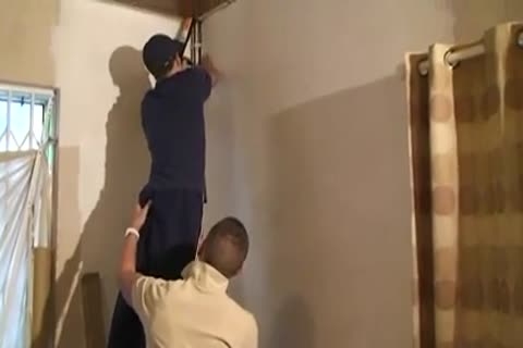 Polvo, Sudor Y Sexo En Grupo