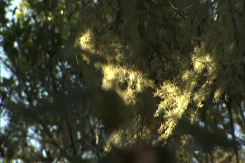 Darius Falke & Francois Sagat Flip pound