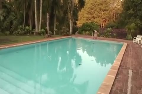 Rico Puenter - 4 - 2