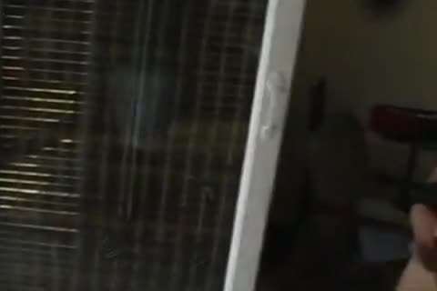 wicked Muscle teen plowing His friend wazoo