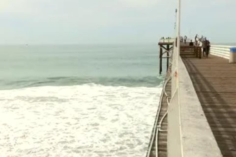 Cameron Darius Www.blogmaxegatos.co