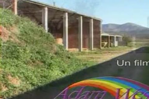 LOS CHICOS DEL CAMPO