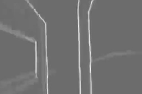 raw - [bare Oreo] King Conda And Case