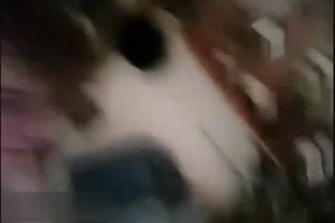 gorgeous lad stroking And Fingering hole On Web web camera