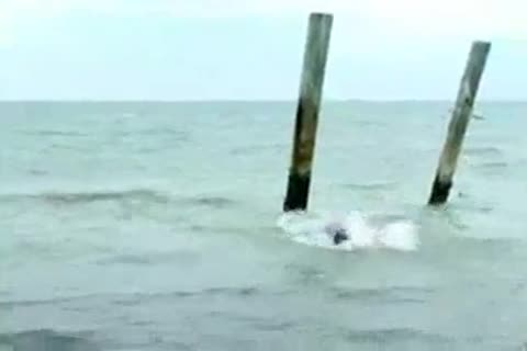 wicked teens Outdoor Sex