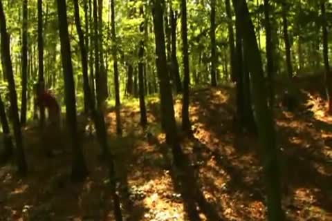 kinky Bikers nailing In A Wood