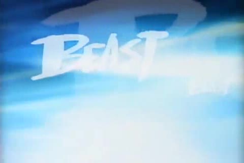 animal Premium Disc 020 Takahiro Igawa