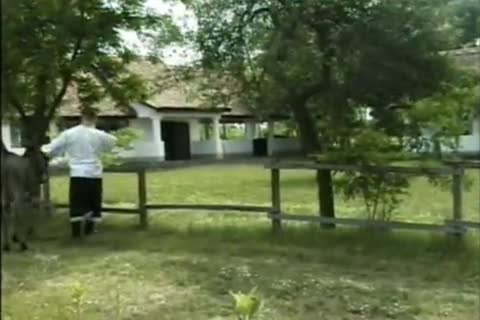 Muscle gay three-some banging