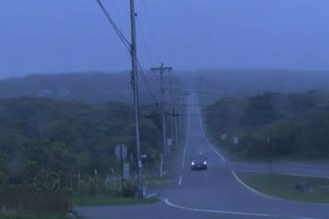 Nick Colton Www.blogmaxegatos.co