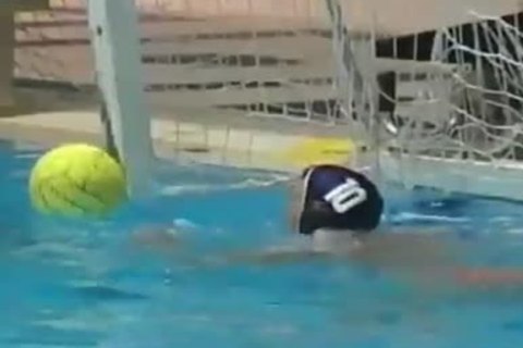 powerful Swimmers Have pleasure