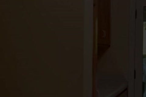 impure Load Www.blogmaxegatos.co