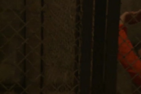 sadomasochism - Edged In Prison By Two Perverts.