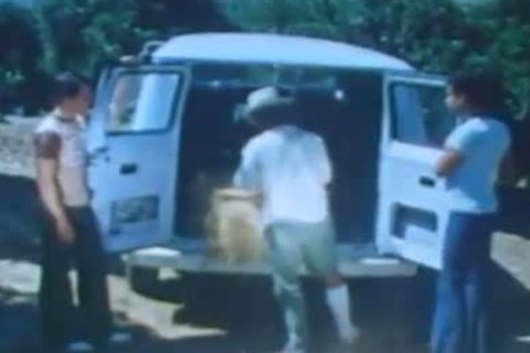 Vintage homo boys banging