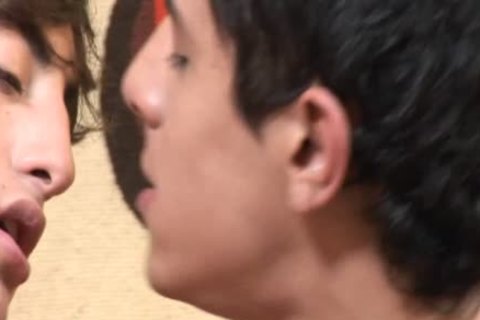 They Wake Up And immediately Want To plow