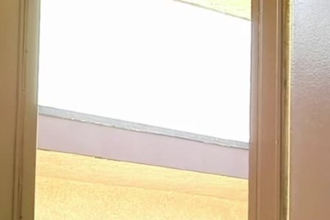 Chocolate cock For A White man