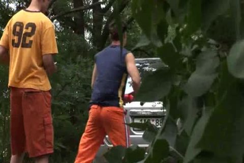 A collision between Three homosexual allies