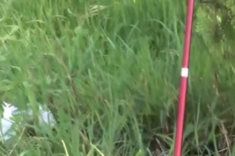 User_Uploaded_sdb-y__12_.mp4