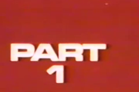 homo Sex below The Sun