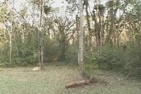 Loving Sex On The Grass With allies