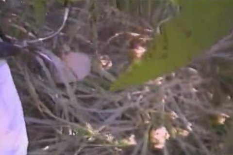 Mounting The big One - Scene 1 - Gentlemens clip