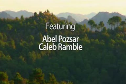 Abel And Caleb Www.blogmaxegatos.co