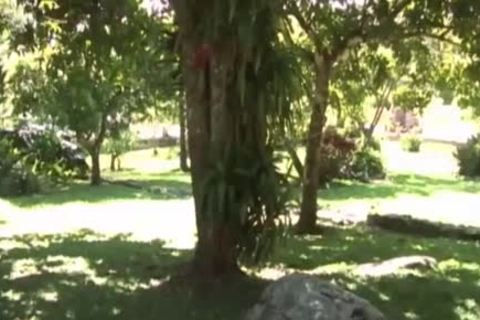 teen (18+) cum Guzzled Outside