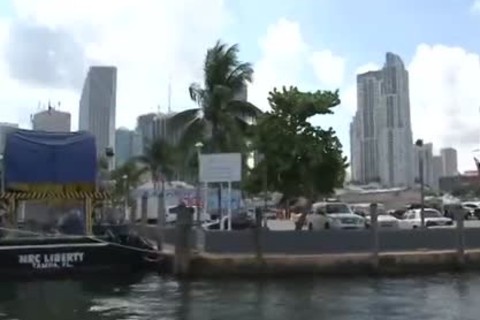 Miami sperm - Scene two - Blue Alley Studios