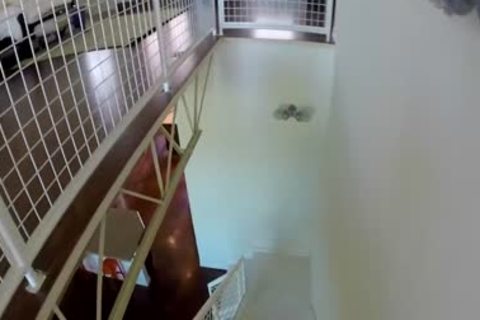 Anthony Verusso banged POV Style In A 3some