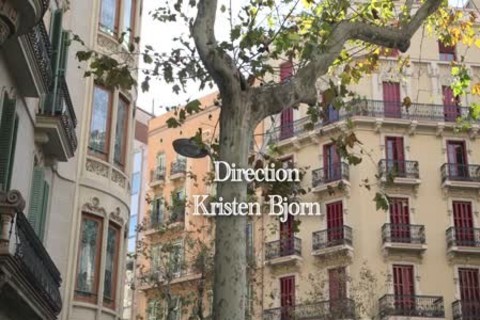 Barebone4 Www.blogmaxegatos.co