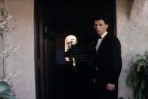 Hard specie - Scene 4