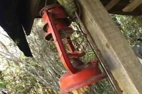 pretty Beefcakes suck 10-Pounder And Do ass outdoors