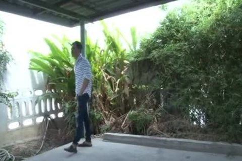 Snake Plus Issue 29 â€“ June 2015 â€“ Jump &