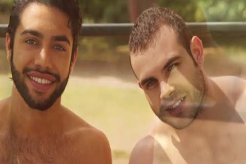 Abele Place Shawn Abir