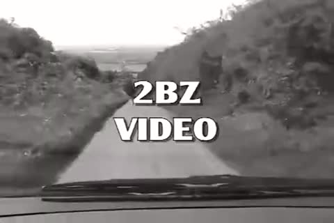 Hitchhiker Solo