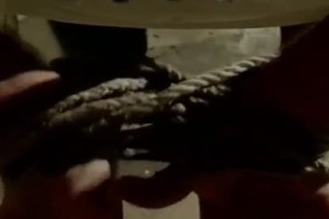 delicious Bodybuilders ass plow