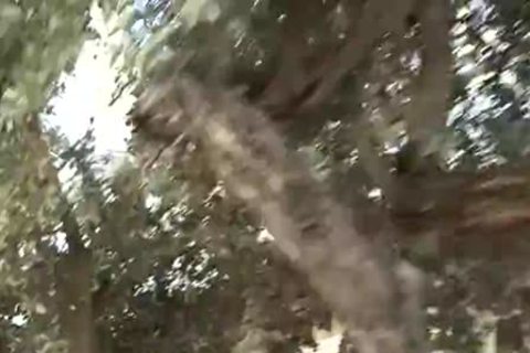 Key West sperm - Scene 5 - Factory video