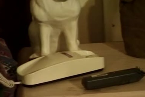 raw schlong 3 - Scene 5 - Macho man video