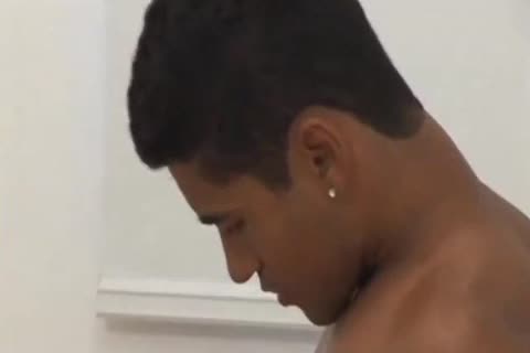 Veado Brasileiro Sarado Rabudo Lisinho Le