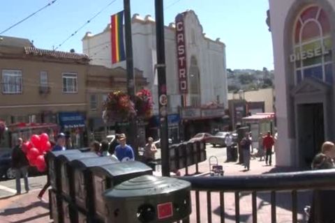 Cruising For A Breeding Scene three