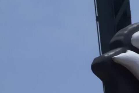 Memphis sperm - Scene 4